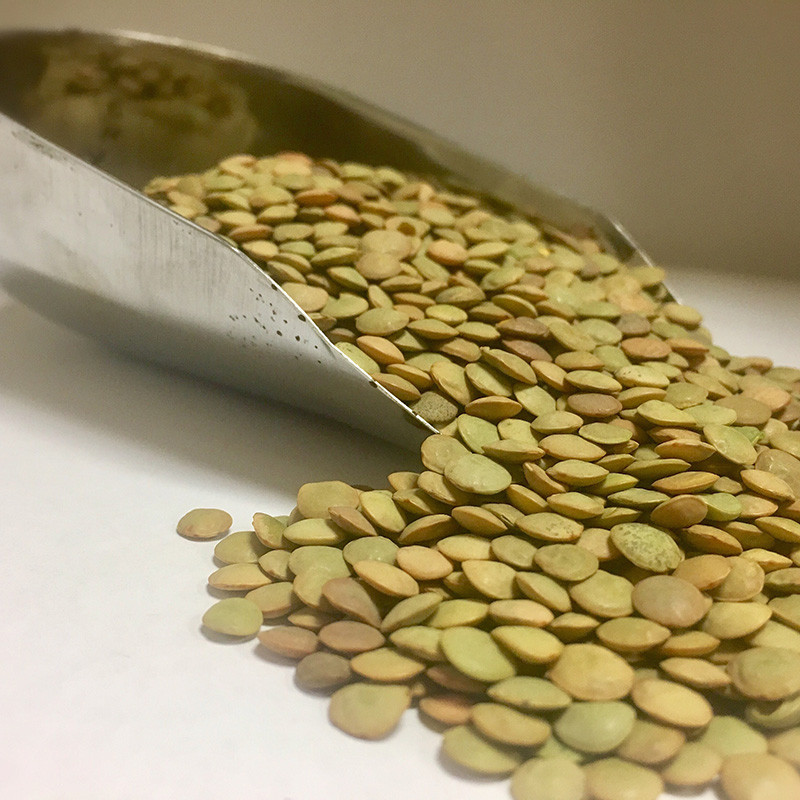 LENTEJA CASTELLANA ECO SACO 1/10Kg